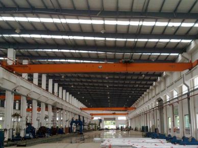 5 тонн над головою кран з 20 м span